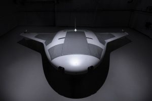 Manta-Ray-300x200.jpg